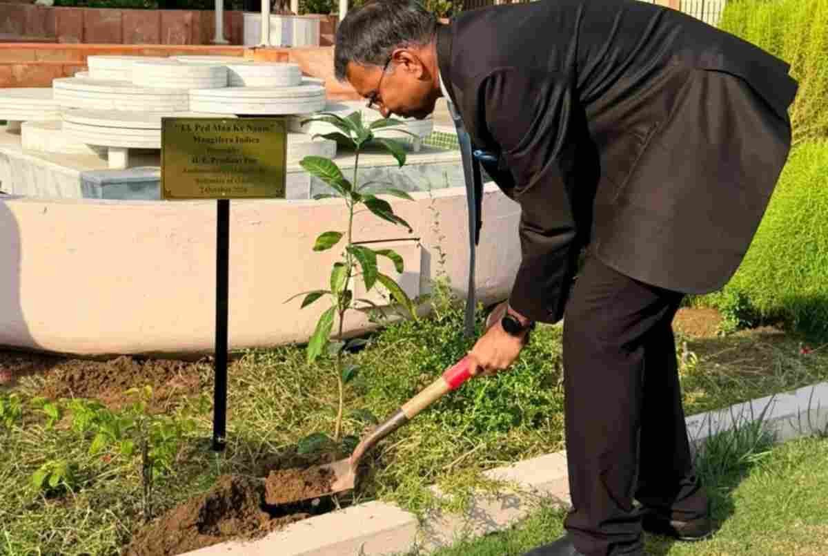 Seva Pakhwada 2026