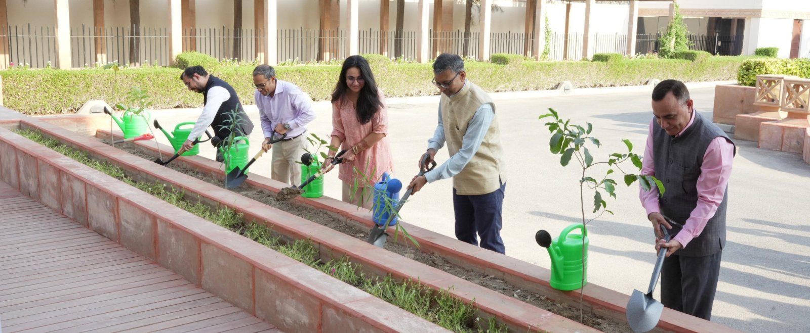Tree saplings planted under the ‘Ek Ped Maa Ke Naam’ initiative on 1 October 2026