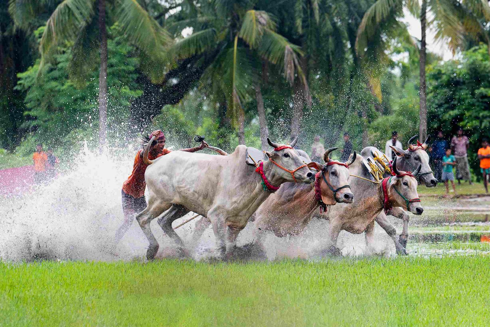 India through My Lens Photo Gallery
