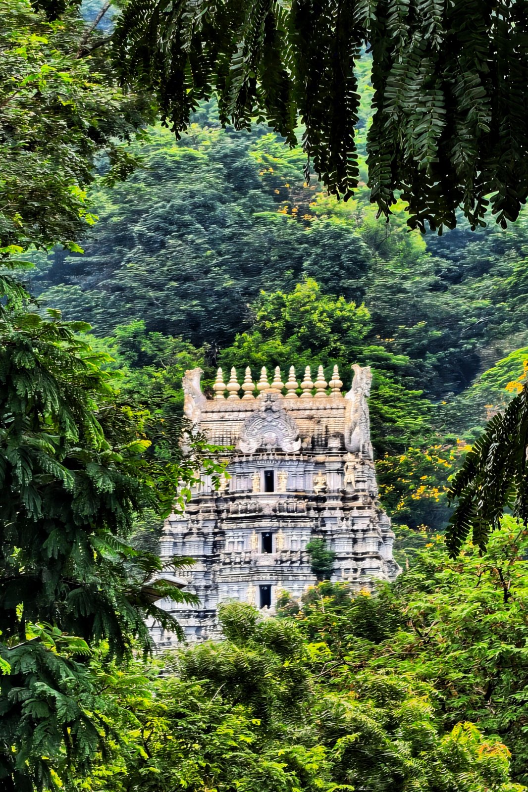 India through My Lens Photo Gallery